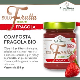 Apicoltura Casentinese, Solofrutta Bio Fragola, Composta 100% Frutta Biologica, Vasetto da 295 g