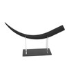Large Eyelash Model Display Training Demonstration Tools for Teaching False