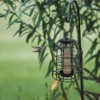 Iron Cage Bird Feeder Metal Bird Food Dispenser Hanging Feeding