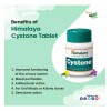 Cystone Himalaya Cálculos Renales 3 Pack