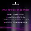 Schwarzkopf Retocador de raiz, castaño oscuro, 120 Ml