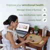 Japanese Zen Garden Kit for Desk - Premium Sand Garden