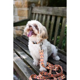 Country Brook Design - Nature Walk Dog Leash - Awesome Autumn Collection with 6 Designs You'll Fall for (6 Foot, 1/2 Inch Wide)