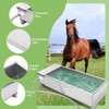 Stainless Steel Cattle Drinking Bowl, Horse Cattle Drinker, Automatic Drinking