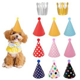 11 Pcs Pet Hat Set, Dog Birthday Party Colorful Cone Paper Hats Hat and Crowns Party Time for Cats and Dogs Party Supplies