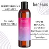 benecos Natural Basics Shampoo Shine & Repair Organic Argan Oil