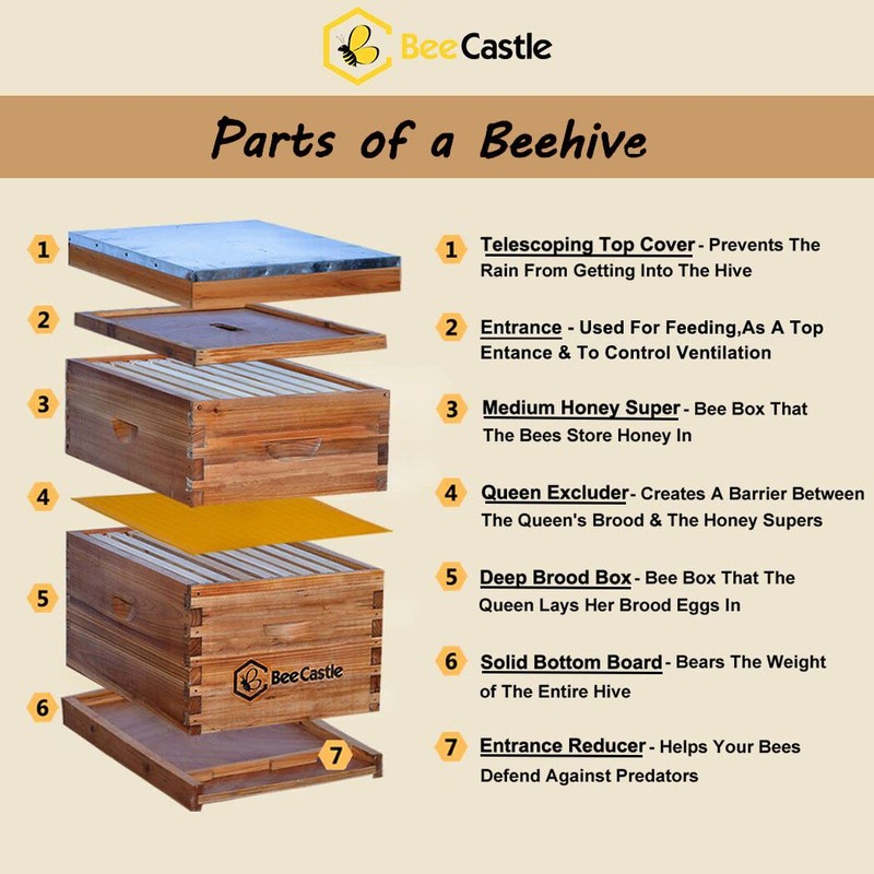 BeeCastle 8 Frame Langstroth Bee Hive Coated with Beeswax Includes