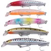 Lures Minnow Floating Sea Bass 0.1 oz (3 g) 2.4