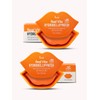 Pretty [Pretty] Real Vita Hydrogel Lip Patch 30 pieces /