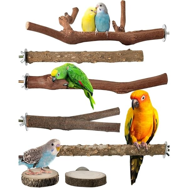 Bissap Bird Perch Stand 7PCS, Natural Grape Wood Pole Standing