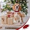 Bulyoou 3 Pcs Christmas Pet Jingle Bell Collars Festive Christmas/Holiday