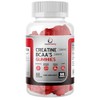 SASH Vitality Creatine Gummies | 90 Gummies | 5000mg Premium