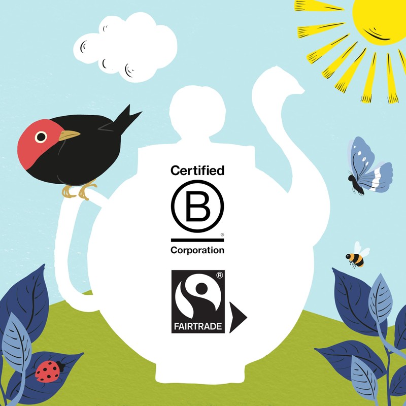 Clipper Organic Decaffeinated Tea Bags (40) - Pack of 2