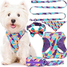 MESVIER Arnés para Perro Chico Mediano con Correa, Collar, Bandana, Bolsa, Pechera para Perro Cachorro Sin Tirones para Caminar Viajar Entrenar, Conjunto de Accesorios para Perros (Morado, S)