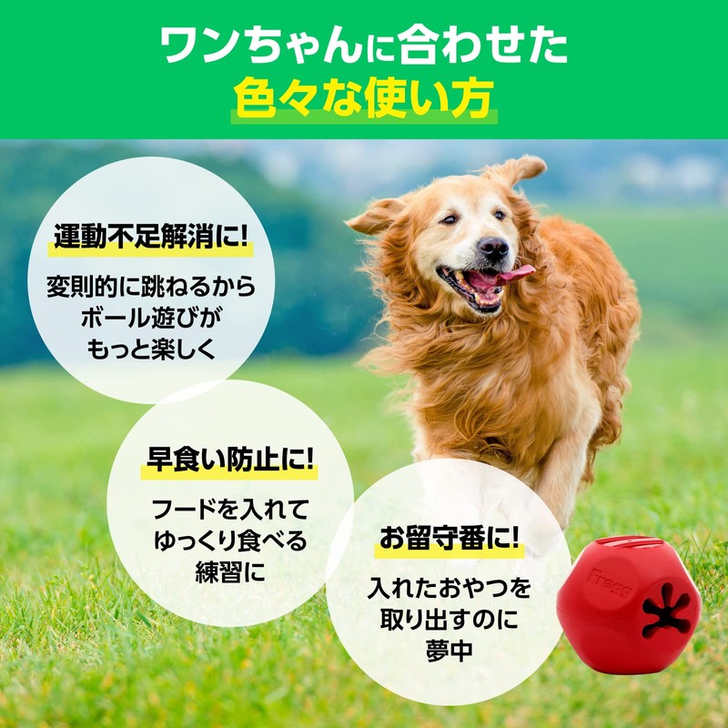 Frogg Frog Natural Rubber Ball Firm Dog Toy Stuffable (Bobbley