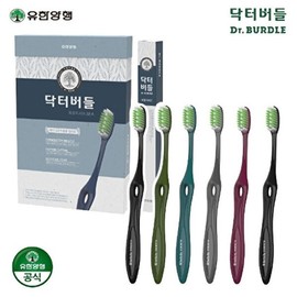 Dr. Willow Dr. Willow composite micro-fiber toothbrush 1 pack (6 pieces) / 닥터버들 닥터버들 복합미세모 칫솔 1팩(6개입)