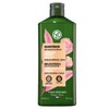 ¡NUEVOS Shampoos Yves Rocher! Nueva formula y nueva presentación (Shampoo