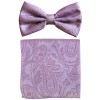 Vesuvio Napoli New formal Men's polyester pre-tied bow tie &