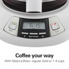 Hamilton Beach 12 Cup Programmable Drip Coffee Maker with 3