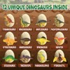 Dino Eggs Dig Kit, 12 Dinosaur Eggs & Unique Dinosaur
