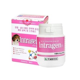 Calcium Mineral Intestinal Health Supplement for Dogs Y00616 Probiotics / 칼슘 미네랄함유 장건강 애견용 영양제 Y00616 유산균