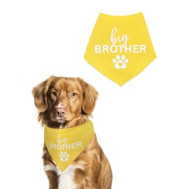 Dual Layer Big Brother Dog Bandana Pet Puppy Brother Bandanas for Small Medium Large Dogs