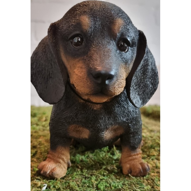 Vivid Arts - Pet Pals Black/Brown Dachshund Puppy Home or
