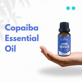 BlueTree Products Copaiba Essential Oil - Brazilian Natural Pure - 15ML (1-Pack, Total 15ML)