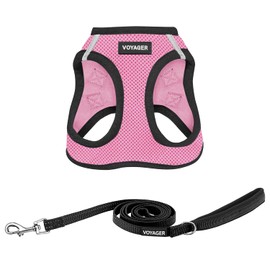 Voyager Step-in Air All Weather Mesh Harness and Reflective Dog 5 ft Leash Combo with Neoprene Handle, for Small, Medium and Large Breed Puppies by Best Pet Supplies - Pink Base, L