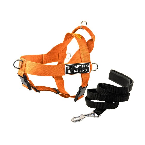 Dean & Tyler DT Universal No Pull Dog Harness with Therapy Dog in Training Patches and Leash, Orange, Large