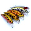 trifyd ® - Pack of 5 trout swimming fish, 6