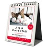 Wing Life is Nyan! CL-384 Tabletop/Wall Hanging, 2026 Calendar, 7.1
