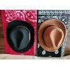 Unbranded NEW ~ DOG COSTUME COWBOY HAT AND BANDANA ~