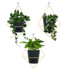 Koalaime 3 Sets of Wall Planters for Indoor Plants, Hanging Wall Planter with Gold Metal Holder, Geometric Self Watering Wall Flower Pots, Wall Mounted Succulent Planter, 5" Black Plant Pot