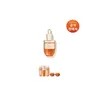 Sulwhasoo [공통]자음생앰플 20g [Common] Consonant Life Ampoule 20g