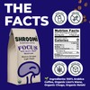 Award-Winning Shroomi Mental Performance Coffee | Organic Fair Trade Light