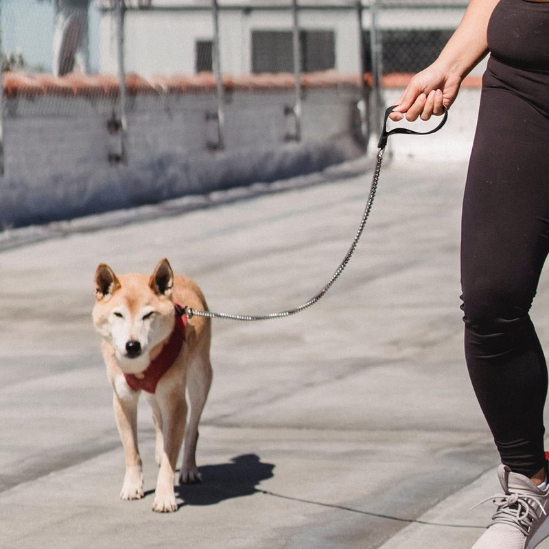 Chain Heavy Duty Metal Dog Leash, 6FTx3mm Chew Proof Pet