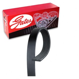 Gates Micro-V Serpentine Belt compatible with Dodge Dakota 3.7L 4.7L V6 V8 2000-2007