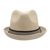 Peter Grimm Depp Fedora Hat, Natural Grey/Black, Large-X-Large