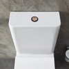 OATIPHO Toilet Push Buttons, Dual Push Flushing Button, 48mm Dual