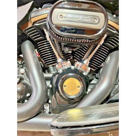 DIY CYCLE PARTS HARLEY ULTRA M8 BRASS TIMING COVER _ points HD timer cam plate _ 667B