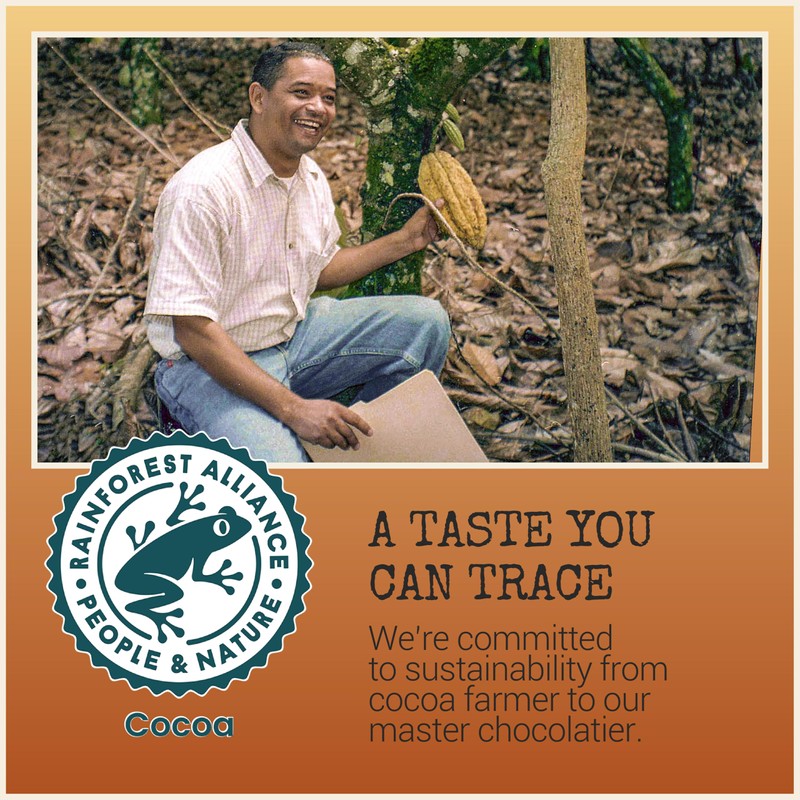 Chocolove Pretzel Milk Chocolate Bars | 33% Cocoa| Infused with