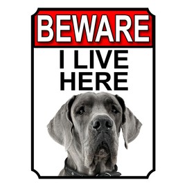 Shawprint BEWARE I LIVE HERE METAL GATE SIGN GREAT DANE 200MM X 10MM (1071H1)