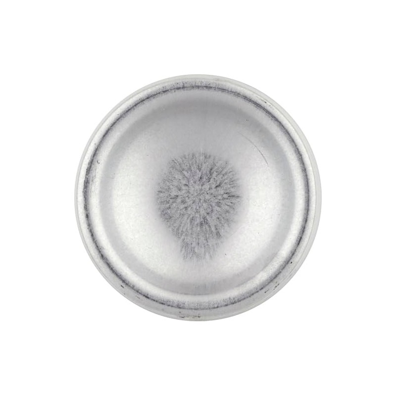 Raid Essentials Ant Spider, and Roach Killer Aerosol Spray, Child