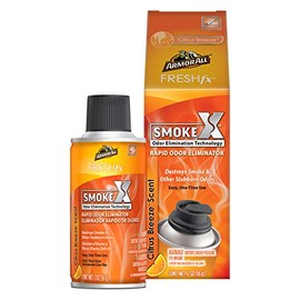 Armor All Car Air Freshener and Purifier - Odor Eliminator for Cars & Truck, Citrus Breeze, Fogger, 19142