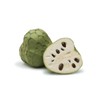 Tree 1 Cup Cherimoya Live Plant Seedling Fruit Tree "7-9"