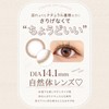 カラコン チェリッタ ワンデー cheritta 1day【1箱10枚入】PWR：-00.00／COLOR：チアリーヌード
