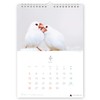 Today's Bunko Calendar A4 Wall-hanging Type 2026 Starting in January