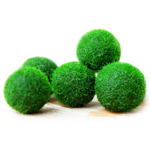 Luffy First Pet Plant Nano Marimo Moss Ball, 0.6 Inches, Fun, Bright and Fluffy, for Educational and DIY Projects, Instigate Learning Habitat, 6 Pieces