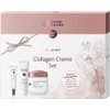 HILDEGARD BRAUKMANN Exquisite Collagen Cream Set (Collagen Cream Day 50